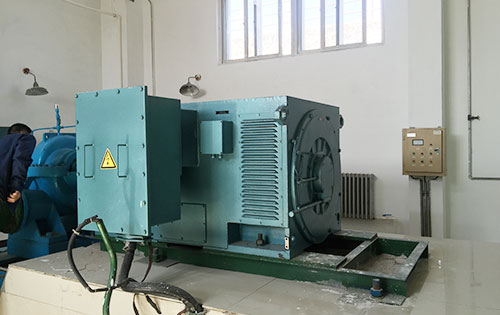 温江某水电站工程主水泵使用我公司高压电机
